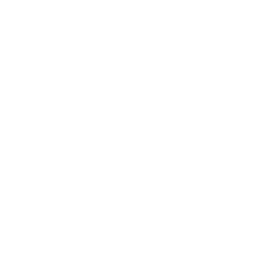 fun-icon
