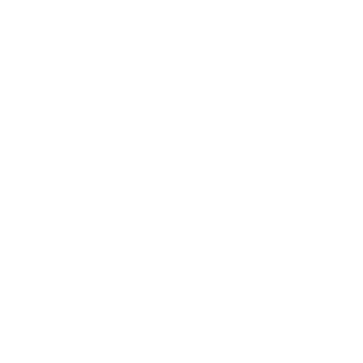 fun-icon